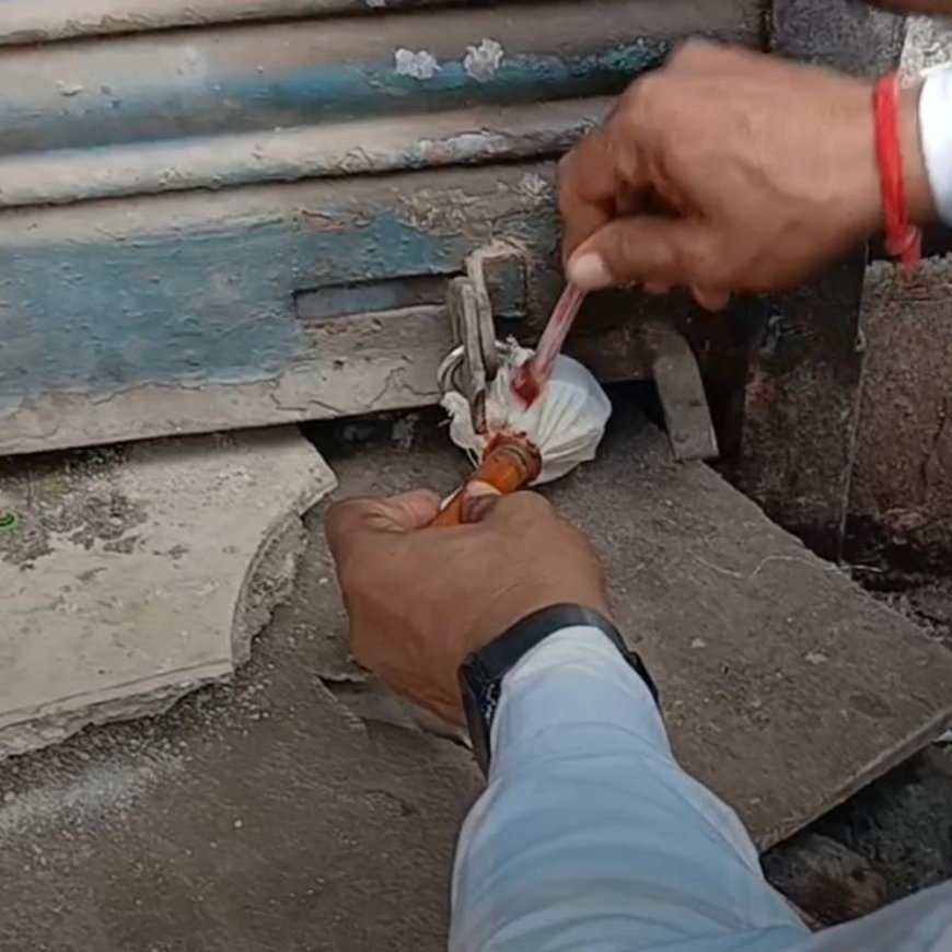 फरीदाबाद में मीट-बिरयानी की 4 दुकानें सील:बिना लाइसेंस के चल रही थी, नगर निगम ने की कार्रवाई