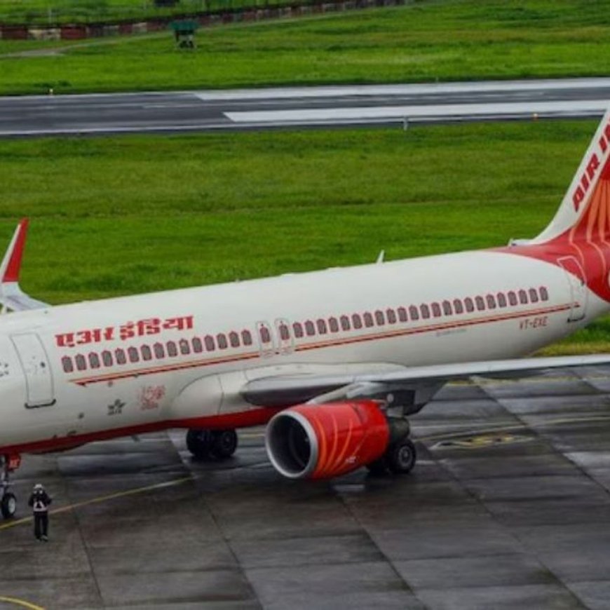 एअर इंडिया की कोलंबो-चेन्नई फ्लाइट के इंजन से पक्षी टकराया:158 यात्री सवार थे, सभी सुरक्षित; एयरलाइन ने वापसी उड़ान रद्द की