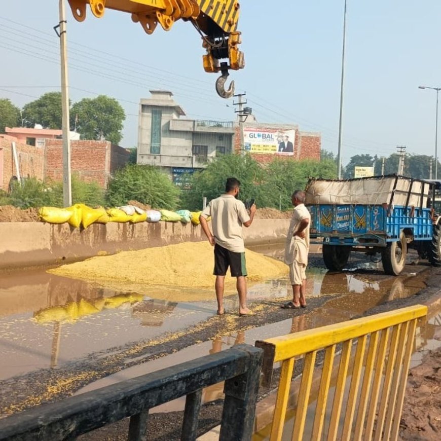 हिसार के सरसौद में धान से भरी ट्रैक्टर-ट्रॉली पलटी:हाईवे पर खड़े पानी में गिरकर फसल खराब, बाल-बाल बचा ड्राइवर