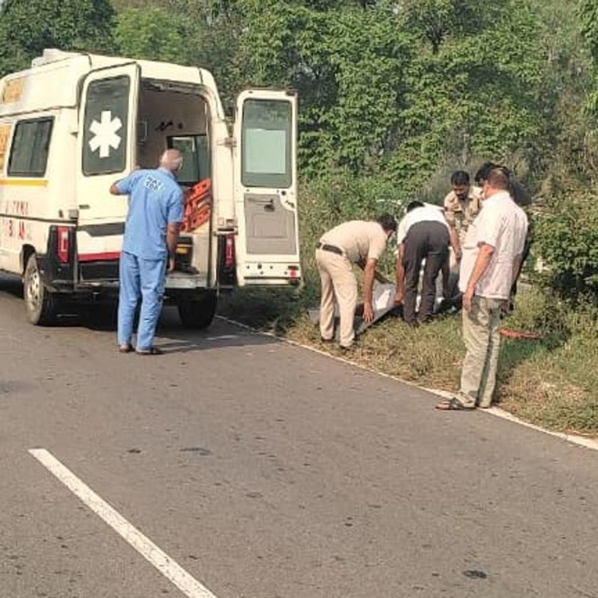 झज्जर में पिकअप और बाइक की टक्कर:व्यक्ति की मौत; रेवाड़ी का रहने वाला, रोहतक जा रहा था, 2 बच्चों का पिता