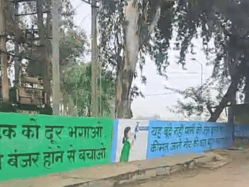 झज्जर में दीवारों पर पेंटिंग से बढ़ रही सुंदरता:जनता को दिया सामाजिक संदेश, फ्लाईओवर पर होगी खिलाड़ियों-महापुरूषों की फोटो