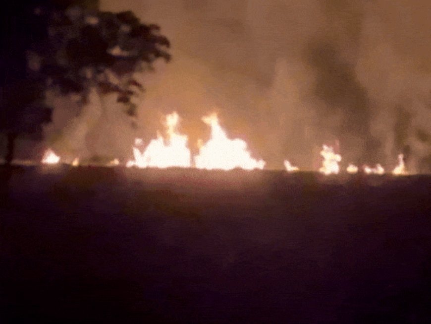 हरियाणा से 12 गुना अधिक पराली पंजाब में जली:पड़ोसी राज्य में 730, प्रदेश में 60 केस, राज्य के 3 शहर सबसे ज्यादा प्रदूषित
