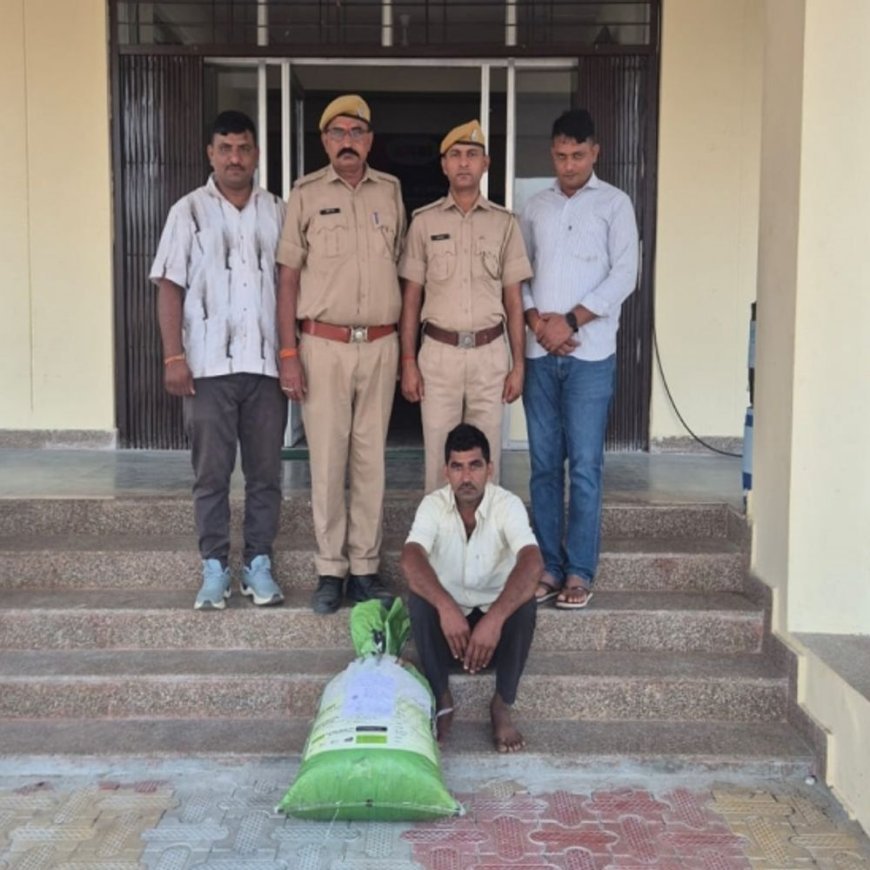 खेत में प्लास्टिक कट्टे में छिपाए डोडा-पोस्त जब्त:1 आरोपी गिरफ्तार, पुलिस मादक-पदार्थ की खरीद-फरोख्त को लेकर पूछताछ में जुटी