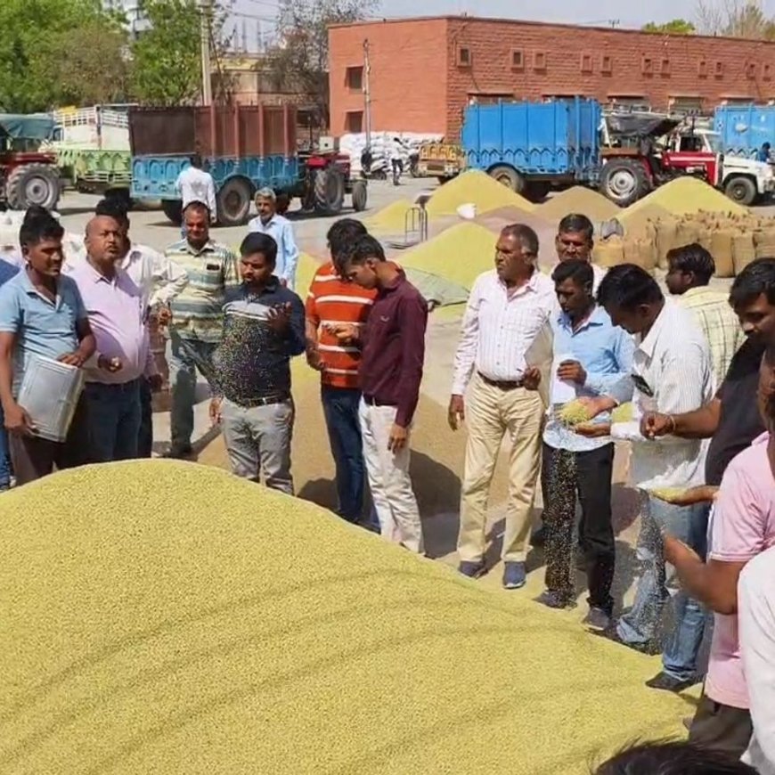 नागौर और मेड़ता मंडी में गिरे मूंग के भाव:बारिश की वजह से दाने हुए काले; जीरा 20 हजार 100 रुपए प्रति क्विंटल में बीका