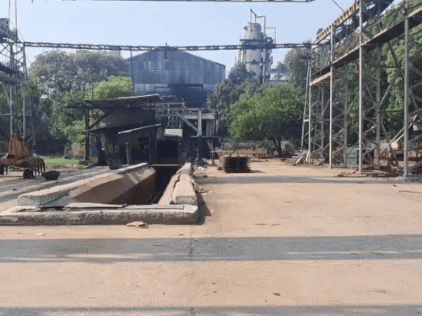 सोनीपत शुगर मिल एप से पानीपत, गोहाना-जींद मिल भी जुड़ेंगे:घर बैठे मिलेगी गन्ने पिराई की हर जानकारी; अभी चल रहा ट्रायल