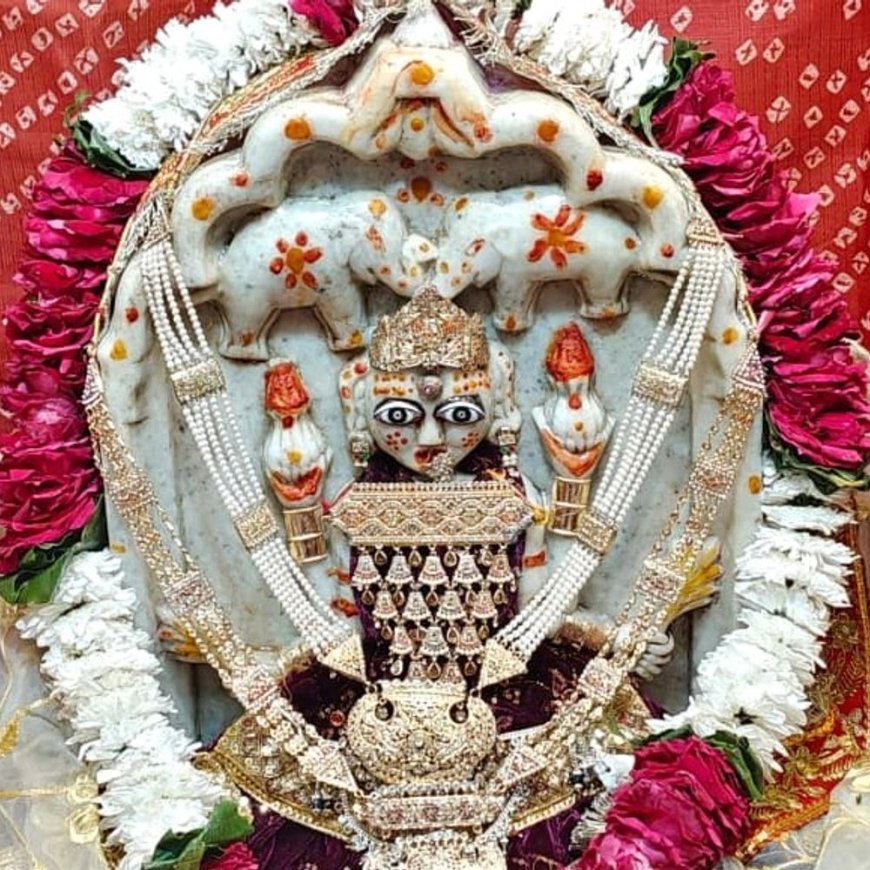 नागौर में महालक्ष्मी मंदिर में अन्नकूट महोत्सव:गोपाष्टमी पर हुआ अभिषेक-पूजन; भगवान को 56 भोग का प्रसाद