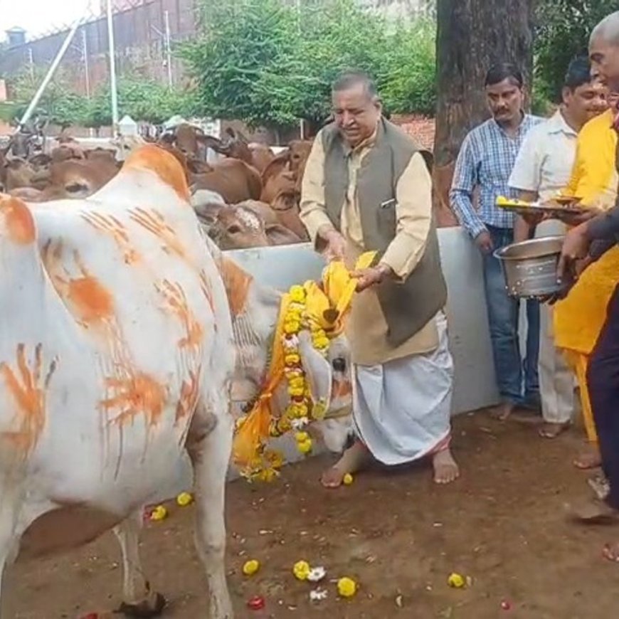 श्रीकृष्ण जन्मस्थान में गोपाष्टमी पर्व मनाया गया:गौशाला में गोचारण लीला, भक्तों ने की गोमाता की पूजा