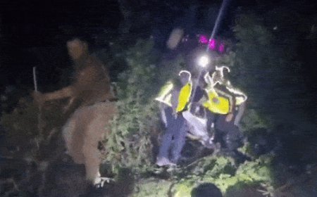 उत्तराखंड में टूरिस्टों से भरी गाड़ी खाई में गिरी:2 की मौत, 15 की हालत गंभीर; कैंची धाम के दर्शन कर लौट रहे थे