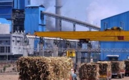 कुशीनगर में गन्ना मूल्य का भुगतान समय से करें:डीएम ने कहा- चीनी मिलों को एस्क्रो खाते में 85% राशि जमा करानी होगी