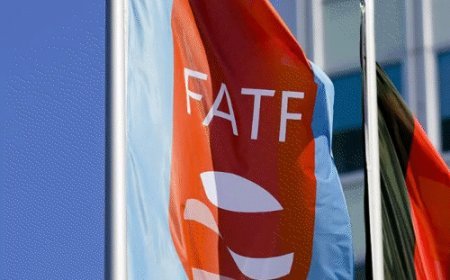 FATF रिपोर्ट- मनी लॉन्ड्रिंग मामलों में ED कार्रवाई की तारीफ:भारतीय जांच एजेंसी के काम को वैश्विक मॉडल बताया; ₹17520 करोड़ के पोंजी स्कैम का जिक्र