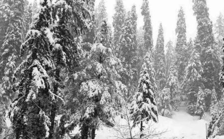 Weather Update : पहाड़ी राज्‍यों में बर्फबारी से गिरा तापमान, क्या है IMD का अलर्ट