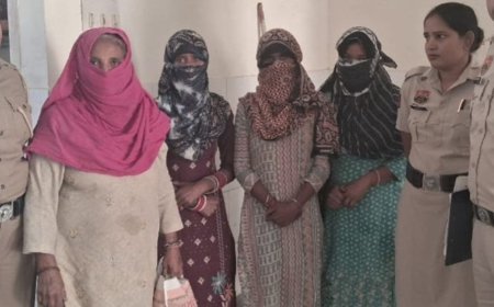 सोनीपत में धान चोरी करते 4 महिलाएं गिरफ्तार:किसान के खेत से धान चुराई थी; चारों जींद की हैं, कोर्ट ने भेजा जेल