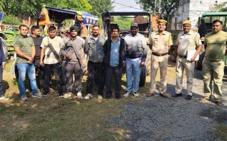 धौलपुर में अवैध चंबल बजरी से भरे 10 ट्रैक्टर-ट्रॉली जब्त:पुलिस और DST की संयुक्त कार्रवाई, वन्य जीव अधिनियम के तहत मामला दर्ज