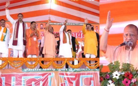 पशुओं का चारा खाने वालों और जमीन कब्जाने वालों से रहें सावधान : योगी