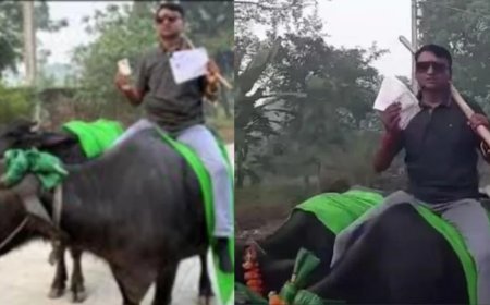 जब भैंस पर बैठकर वोट डालने पहुंचा वोटर, वायरल हुआ वीडियो
