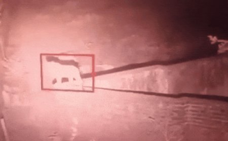 अंबाला में फिर दिखा तेंदुआ:पंजोखरा साहिब क्षेत्र में फैली दहशत; वन विभाग की टीम मौके पर, कराया जा रहा अनाउंसमेंट