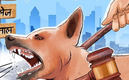 सुप्रीम कोर्ट का आदेश- स्कूल, अस्पताल से आवारा कुत्ते हटाएं:जहां से पकड़ें, नसबंदी के बाद वहीं न छोड़ें; हाईवे से आवारा जानवर भी हटाएं