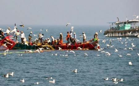 केंद्र ने गहरे समुद्र में मछली पकड़ने के नए नियम जारी किए, मछुआरों के लिए क्या हैं फायदे