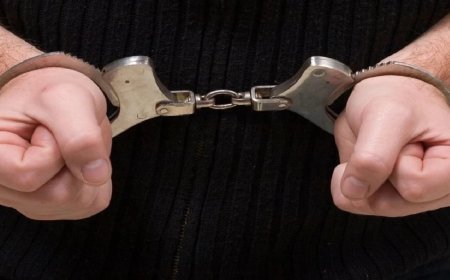 लॉरेंस बिश्नोई, नंदू गैंग को झटका, US और जॉर्जिया से गिरफ्तार हुए दो कुख्यात गैंगस्टर