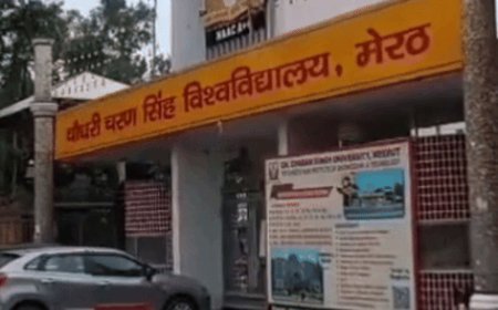 मेरठ CCSU के ग्रुप में भेजे पोर्न मैसेज:कैंपस में फायरिंग करने वाले हिस्ट्रीशीटर के बनाए व्हाट्सएपग्रुप में अश्लील हरकत