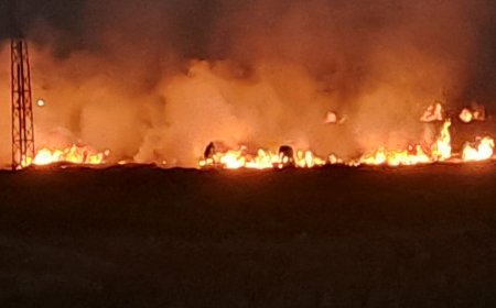 नारनौंद में पराली जलाने पर दो किसानों पर FIR:सैटेलाइट से मिली जानकारी, कृषि विभाग की टीम ने मौके पर जाकर की जांच