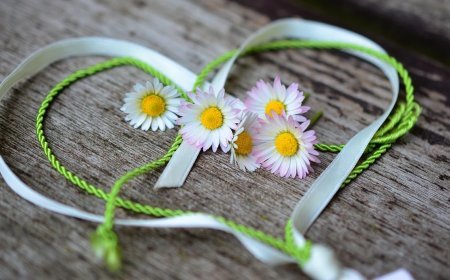 Love Horoscope For 12 November 2025 | आज का प्रेम राशिफल 12 नवंबर | प्रेमियों के लिए कैसा रहेगा आज का दिन