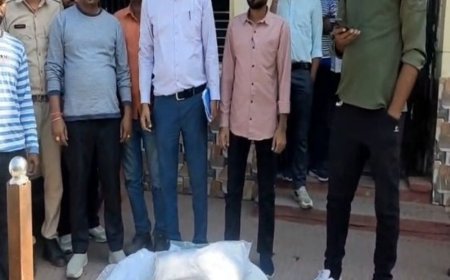 टोंक में सिंगल यूज प्लास्टिक और अस्थाई अतिक्रमण पर कार्रवाई:नगर परिषद परिषद ने टेबल, कुर्सियां जब्त की; दुकानदार गुहार लगाते रहे