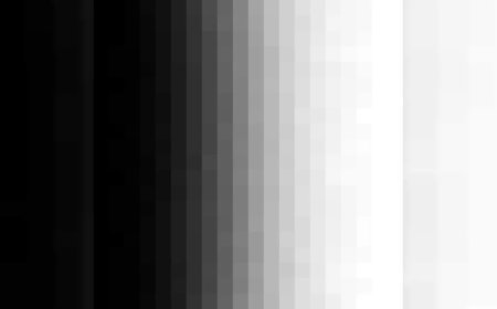 दिल्ली धमाका केस में पुलिस को बड़ी कामयाबी, फरीदाबाद में मिली लाल कार, आखिर क्या है इस कार का रहस्य