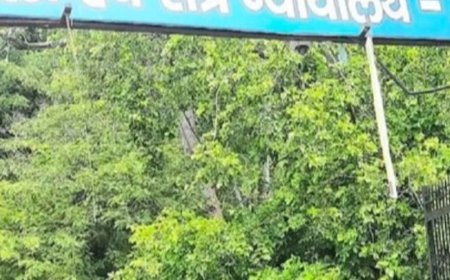 जूता कारोबारी पर पौने दाे करोड़ की धोखाधड़ी का आरोप:आगरा जिला कोर्ट में चल रहा मामला, कत्याल इंडस्ट्रीज का मालिक है कारोबारी