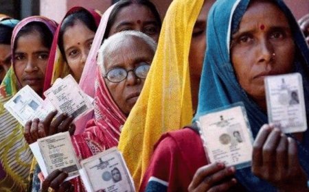 SIR के 9 दिन-चुनाव आयोग ने 42 करोड़ फॉर्म बांटे:MP-छत्तीसगढ़ में काम धीमा, गुजरात में तेज; मतदाता रिकॉर्ड खोजने में दिक्कत आ रही