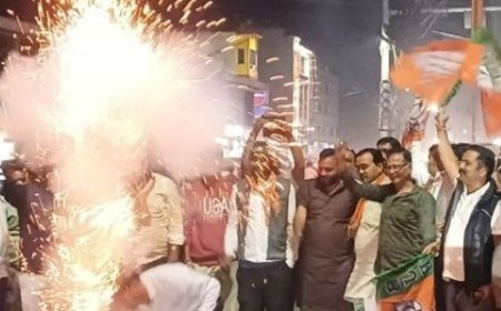 पाली में भाजपाइयों ने की आतिशबाजी:बिहार चुनाव में अच्छी सीटें मिलने पर जताई खुशी