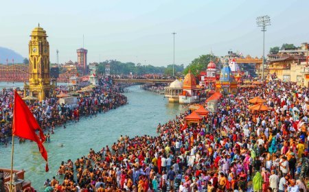 मार्गशीर्ष अमावस्या 20 नवंबर को, ऐसे करें श्रीहरि विष्णु की पूजा; दूर होंगे जीवन के कष्ट!