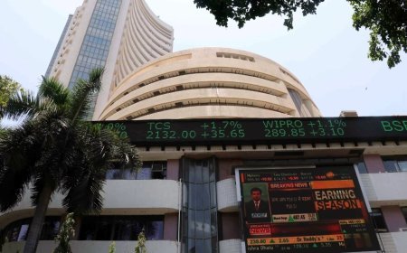 FIIs की भारी बिकवाली के बीच भी संभला बाजार, निवेशकों के लिए बड़ा मौका!