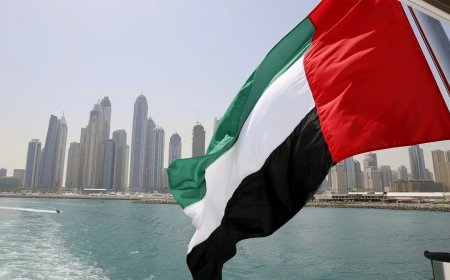 यूएई वैश्विक समुद्री नीति को देगा आकार, IMO परिषद में सदस्यता की मजबूत दावेदारी