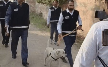 नूंह में उमर के किराए के घर बम-स्क्वॉड की जांच:दिल्ली ब्लास्ट से पहले 10 दिन यहीं रहा उमर; अल-फलाह यूनिवर्सिटी के चेयरमैन को समन