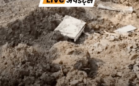 भास्कर अपडेट्स:गुजरात में 10 दिन से लापता महिला और उसके दो बच्चों के शव मिले, वन अधिकारी पर तीनों की हत्या का शक