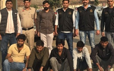 पलवल में चोर गिरोह का भंडाफोड़:5 सदस्यों को किया गिरफ्तार, घरों और कंपनियों में करते थे वारदात, 2 हमलावर भी पकड़े