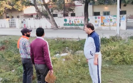 महापौर ने शहर में सफाई व्यवस्था का लिया जायजा