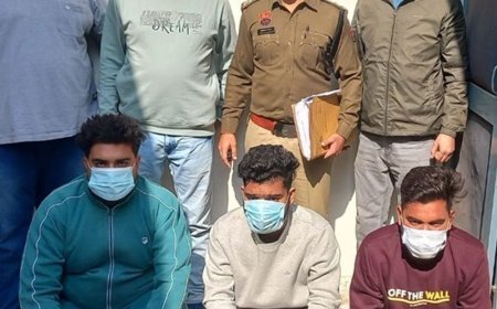 सोनीपत साइबर पुलिस ने सुलझाए 6 केस:11 आरोपियों को किया काबू; 11.74 लाख रुपए, बरामद, बैंक खाते फ्रीज किए