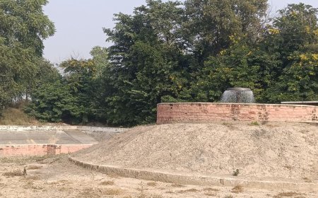 डबवाली में 1200 रुपए में पानी खरीद रहे ग्रामीण:गांव में पेयजल संकट गहराया, गांववासी बोले- 5 दिनों से नहीं मिला