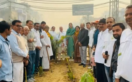 बहादुरगढ़ में वेस्ट जुआं ड्रेन रोड पर छाएगी हरियाली:सौंदर्यीकरण की नई पहल शुरू, चेयरपर्सन सरोज राठी ने किया उद्घाटन