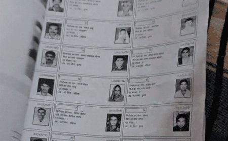 19 दिन में 6 राज्यों में 15 बीएलओ की मौत:SIR अभियान के दौरान गुजरात-MP में 4-4, बंगाल में 3, राजस्थान-तमिलनाडु-केरल में 3 मौतें