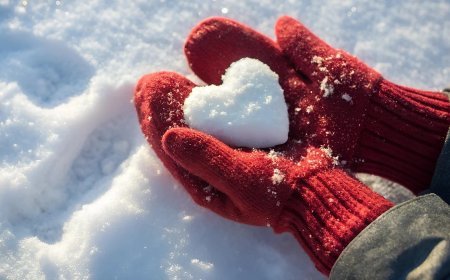 Love Horoscope For 23 November 2025 | आज का प्रेम राशिफल 23 नवंबर | प्रेमियों के लिए कैसा रहेगा आज का दिन