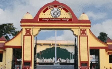 डीडीयू में 40 साल बाद बड़ा बदलाव:लागू हुआ नया अध्यादेश, पहली बार शामिल हुई 'डॉक्टर्स ऑफ लॉ' डिग्री