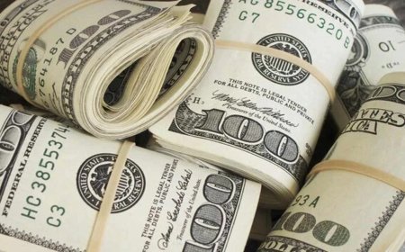 Rupee अपने रिकॉर्ड निचले स्तर से उबरा,49 पैसे चढ़कर 89.17 प्रति Dollar पर