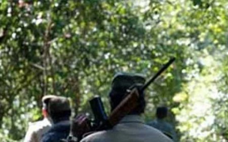 Naxalites surrender : सुकमा में 15 नक्सलियों ने किया सरेंडर, हर एक पर 48 लाख का इनाम