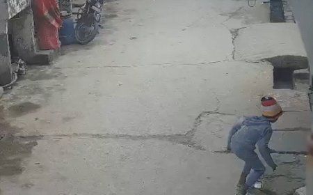 दिल्ली में पिटबुल का 6 साल के बच्चे पर अटैक-VIDEO:दांत से नोंचने पर कान कटकर नीचे गिरा, चेहरे पर 10 गहरे घाव; मालिक अरेस्ट