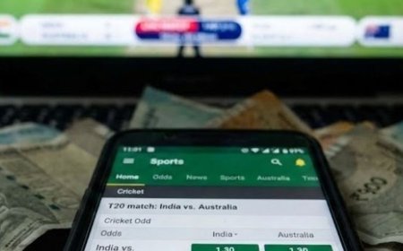 दिल्ली HC बोला- क्रिकेट सट्‌टेबाजी से कमाया हर मुनाफा अपराध:कहा- यह जहरीले पेड़ की तरह, इसका फल कैसे वैध; PMLA में सट्‌टेबाजी अपराध नहीं