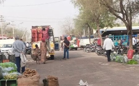 डीडवाना में मूंग-मूंगफली की समर्थन मूल्य पर खरीद शुरू:जिले के 5 केंद्रों पर किसानों के लिए सुचारू व्यवस्था