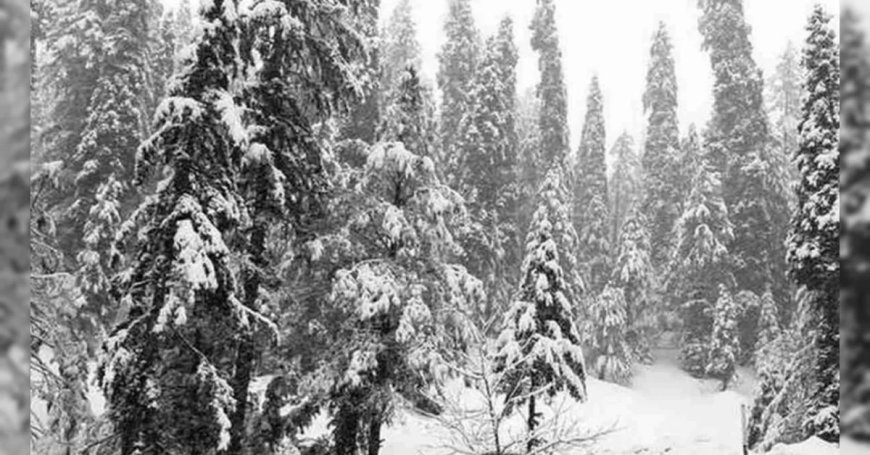 Weather Update : पहाड़ी राज्‍यों में बर्फबारी से गिरा तापमान, क्या है IMD का अलर्ट
